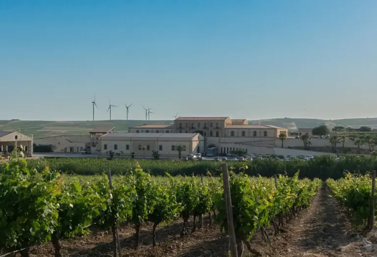Location Matrimonio – Cantina Assuli